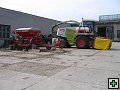 thn_Troubelice 2006 053.jpg